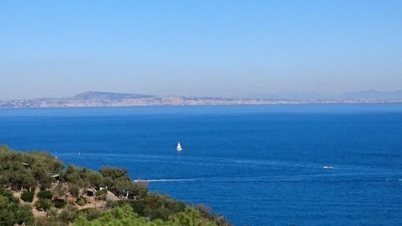Villa L'Ulivina سورينتو المظهر الخارجي الصورة