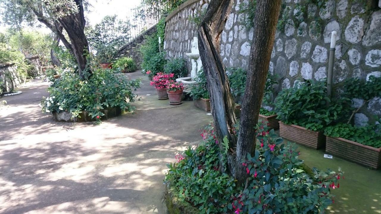 Villa L'Ulivina سورينتو المظهر الخارجي الصورة