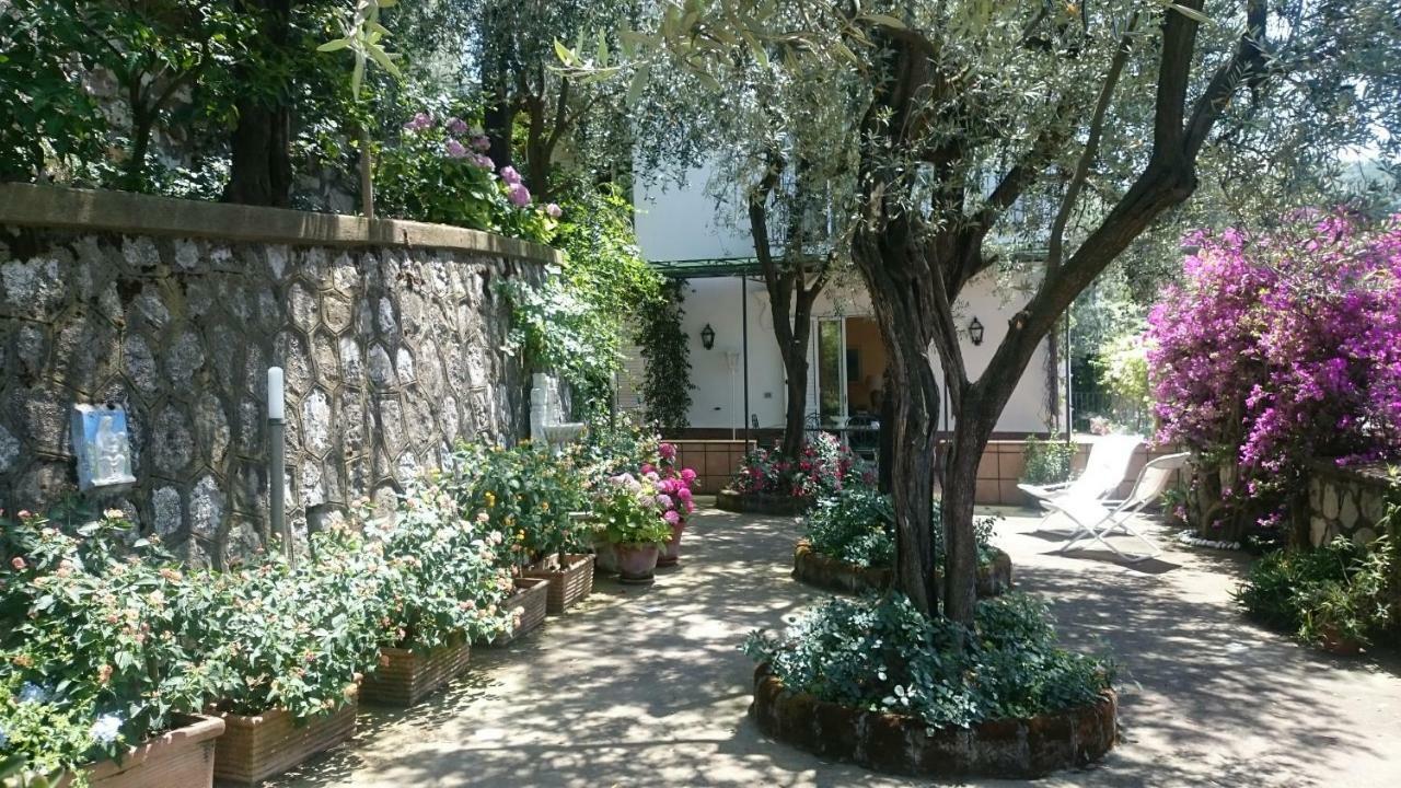 Villa L'Ulivina سورينتو المظهر الخارجي الصورة