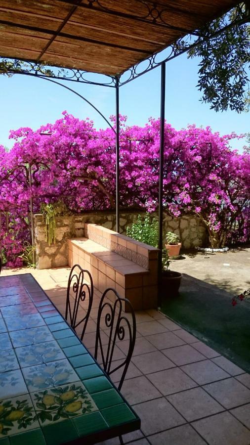 Villa L'Ulivina سورينتو المظهر الخارجي الصورة